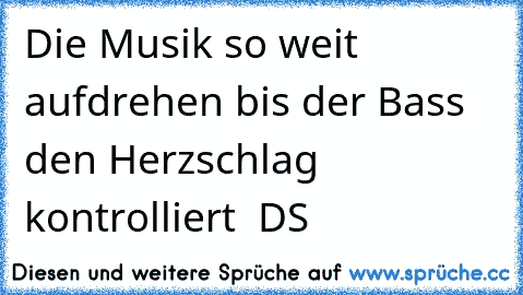 Die Musik so weit aufdrehen bis der Bass den Herzschlag kontrolliert ♥ DS