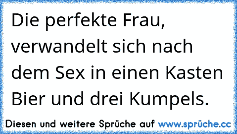 Die perfekte Frau, verwandelt sich nach dem Sex in einen Kasten Bier und drei Kumpels.