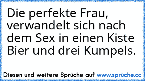 Die perfekte Frau, verwandelt sich nach dem Sex in einen Kiste Bier und drei Kumpels.