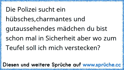 Die Polizei sucht ein hübsches,charmantes und gutaussehendes mädchen du bist schon mal in Sicherheit aber wo zum Teufel soll ich mich verstecken?