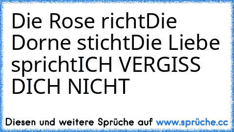 Die Rose richt
Die Dorne sticht
Die Liebe spricht
ICH VERGISS DICH NICHT ♥