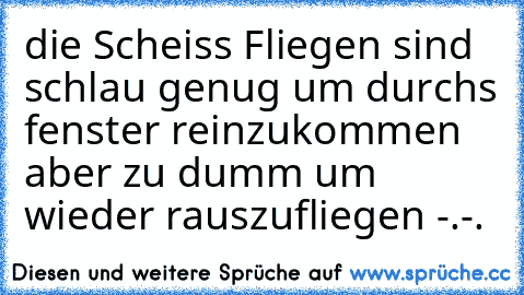 die Scheiss Fliegen sind schlau genug um durchs fenster reinzukommen aber zu dumm um wieder rauszufliegen -.-.