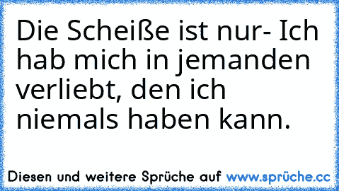 Die Scheiße ist nur- Ich hab mich in jemanden verliebt, den ich niemals haben kann.