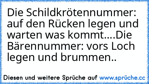 Die Schildkrötennummer: auf den Rücken legen und warten was kommt....
Die Bärennummer: vors Loch legen und brummen..