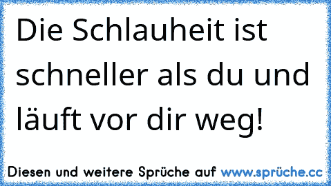 Die Schlauheit ist schneller als du und läuft vor dir weg!