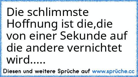 Die schlimmste Hoffnung ist die,die von einer Sekunde auf die andere vernichtet wird.....