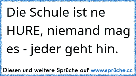 Die Schule ist ne HURE, niemand mag es - jeder geht hin.