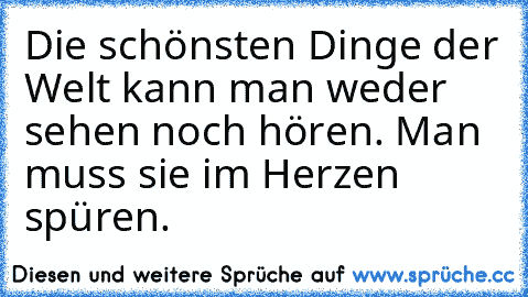 Die schönsten Dinge der Welt kann man weder sehen noch hören. Man muss sie im Herzen spüren. ♥