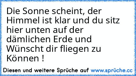 Die Sonne scheint, der Himmel ist klar und du sitz hier unten auf der dämlichen Erde und Wünscht dir fliegen zu Können !