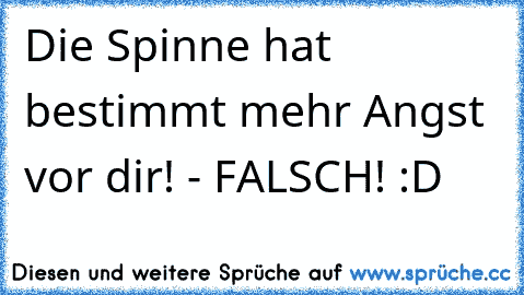 Die Spinne hat bestimmt mehr Angst vor dir! - FALSCH! 
:D