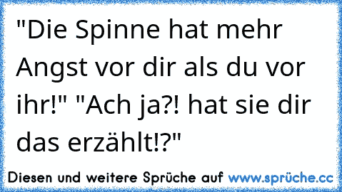 "Die Spinne hat mehr Angst vor dir als du vor ihr!" "Ach ja?! hat sie dir das erzählt!?"