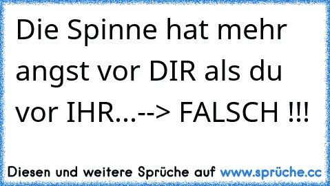 Die Spinne hat mehr angst vor DIR als du vor IHR...--> FALSCH !!!