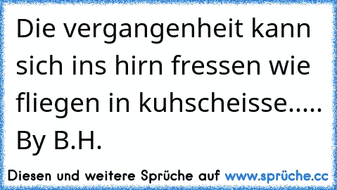 Die vergangenheit kann sich ins hirn fressen wie fliegen in kuhscheisse..... ®By B.H.