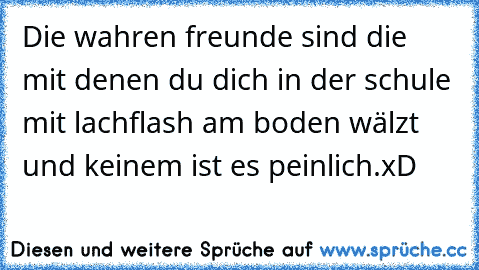 Die wahren freunde sind die mit denen du dich in der schule mit lachflash am boden wälzt und keinem ist es peinlich.xD