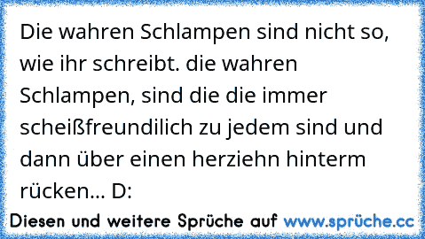 Die wahren Schlampen sind nicht so, wie ihr schreibt. die wahren Schlampen, sind die die immer scheißfreundilich zu jedem sind und dann über einen herziehn hinterm rücken... D: