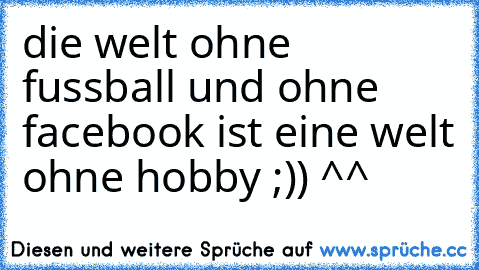 die welt ohne fussball und ohne facebook ist eine welt ohne hobby ;)) ^^