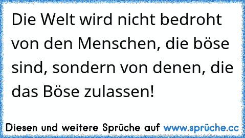 Die Welt wird nicht bedroht von den Menschen, die böse sind, sondern von denen, die das Böse zulassen!