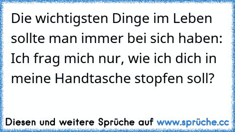 Die wichtigsten Dinge im Leben sollte man immer bei sich haben: Ich frag mich nur, wie ich dich in meine Handtasche stopfen soll?