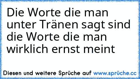 Die Worte die man unter Tränen sagt sind die Worte die man wirklich ernst meint…