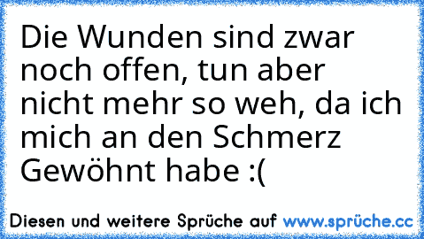 Die Wunden sind zwar noch offen, tun aber nicht mehr so weh, da ich mich an den Schmerz Gewöhnt habe :( ♥