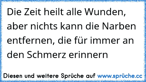 Die Zeit heilt alle Wunden, aber nichts kann die Narben entfernen, die für immer an den Schmerz erinnern 