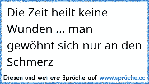 Die Zeit heilt keine Wunden ... man gewöhnt sich nur an den Schmerz