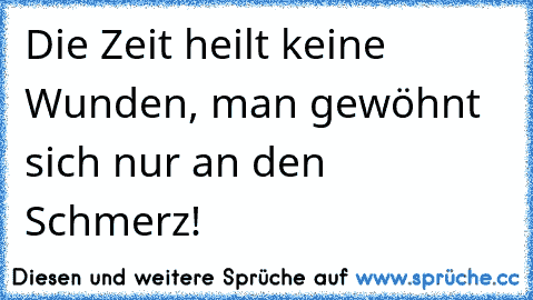 Die Zeit heilt keine Wunden, man gewöhnt sich nur an den Schmerz!