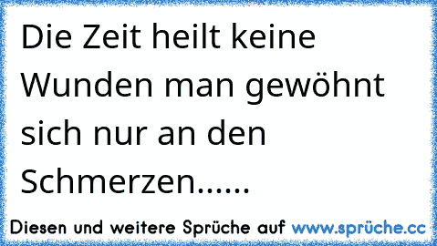 Die Zeit heilt keine Wunden man gewöhnt sich nur an den Schmerzen......