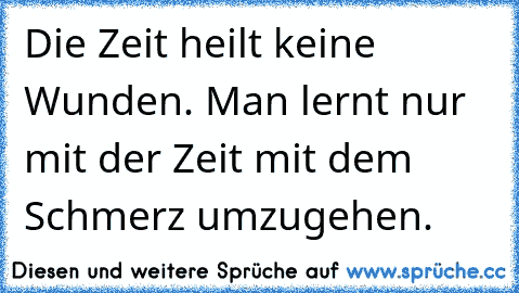 Die Zeit heilt keine Wunden. Man lernt nur mit der Zeit mit dem Schmerz umzugehen.