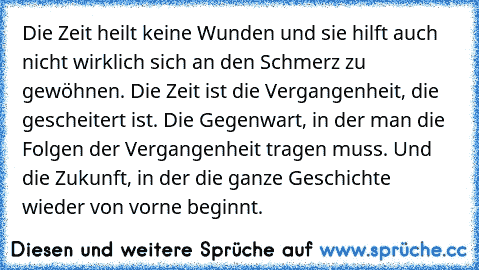 Die Zeit heilt keine Wunden und sie hilft auch nicht wirklich sich an den Schmerz zu gewöhnen. Die Zeit ist die Vergangenheit, die gescheitert ist. Die Gegenwart, in der man die Folgen der Vergangenheit tragen muss. Und die Zukunft, in der die ganze Geschichte wieder von vorne beginnt.