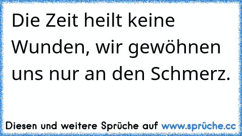 Die Zeit heilt keine Wunden, wir gewöhnen uns nur an den Schmerz.