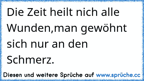 Die Zeit heilt nich alle Wunden,man gewöhnt sich nur an den Schmerz.