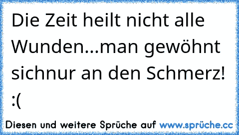 Die Zeit heilt nicht alle Wunden...man gewöhnt sichnur an den Schmerz! :(