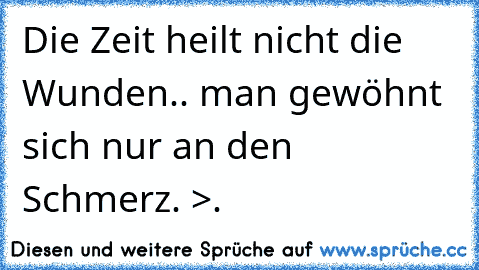 Die Zeit heilt nicht die Wunden.. man gewöhnt sich nur an den Schmerz. >.