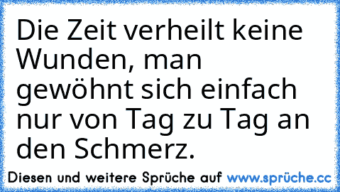 Die Zeit verheilt keine Wunden, man gewöhnt sich einfach nur von Tag zu Tag an den Schmerz.