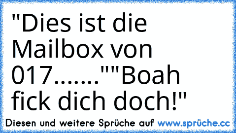 "Dies ist die Mailbox von 017......."
"Boah fick dich doch!"