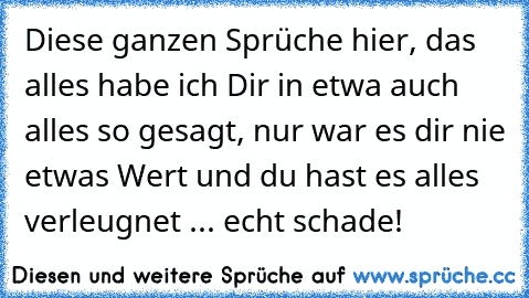 Diese ganzen Sprüche hier, das alles habe ich Dir in etwa auch alles so gesagt, nur war es dir nie etwas Wert und du hast es alles verleugnet ... echt schade!