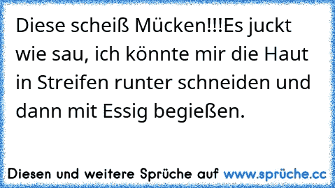 Diese scheiß Mücken!!!Es juckt wie sau, ich könnte mir die Haut in Streifen runter schneiden und dann mit Essig begießen.