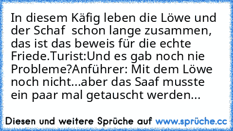 In diesem Käfig leben die Löwe und der Schaf  schon lange zusammen, das ist das beweis für die echte Friede.
Turist:Und es gab noch nie Probleme?
Anführer: Mit dem Löwe noch nicht...aber das Saaf musste ein paar mal getauscht werden...