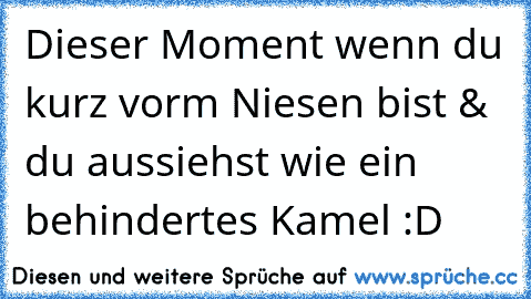 Dieser Moment wenn du kurz vorm Niesen bist & du aussiehst wie ein behindertes Kamel :D