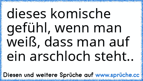 dieses komische gefühl, wenn man weiß, dass man auf ein arschloch steht..