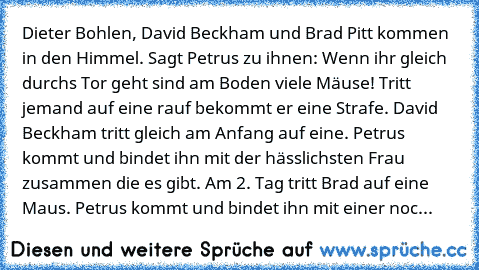 Dieter Bohlen, David Beckham und Brad Pitt kommen in den Himmel. Sagt Petrus zu ihnen: Wenn ihr gleich durchs Tor geht sind am Boden viele Mäuse! Tritt jemand auf eine rauf bekommt er eine Strafe. David Beckham tritt gleich am Anfang auf eine. Petrus kommt und bindet ihn mit der hässlichsten Frau zusammen die es gibt. Am 2. Tag tritt Brad auf eine Maus. Petrus kommt und bindet ihn mit einer noc...