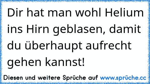 Dir hat man wohl Helium ins Hirn geblasen, damit du überhaupt aufrecht gehen kannst!