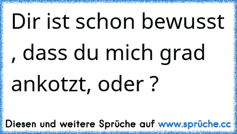 Dir ist schon bewusst , dass du mich grad ankotzt, oder ?