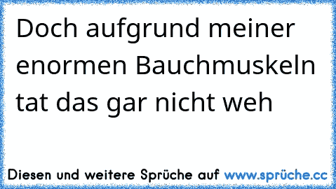 Doch aufgrund meiner enormen Bauchmuskeln tat das gar nicht weh