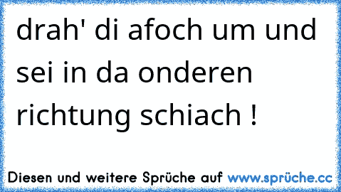 drah' di afoch um und sei in da onderen richtung schiach !