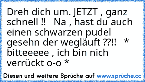 Dreh dich um. JETZT , ganz schnell !!   Na , hast du auch einen schwarzen pudel gesehn der wegläuft ??!!   * bitteeeee , ich bin nich verrückt o-o *