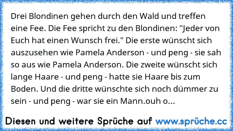 Drei Blondinen gehen durch den Wald und treffen eine Fee. Die Fee spricht zu den Blondinen: "Jeder von Euch hat einen Wunsch frei." Die erste wünscht sich auszusehen wie Pamela Anderson - und peng - sie sah so aus wie Pamela Anderson. Die zweite wünscht sich lange Haare - und peng - hatte sie Haare bis zum Boden. Und die dritte wünschte sich noch dümmer zu sein - und peng - war sie ein Mann.
ou...