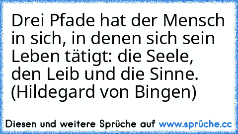 Drei Pfade hat der Mensch in sich, in denen sich sein Leben tätigt: die Seele, den Leib und die Sinne. (Hildegard von Bingen)