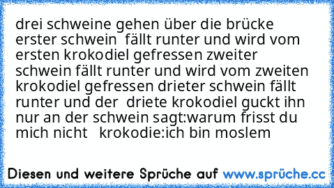 drei schweine gehen über die brücke erster schwein  fällt runter und wird vom ersten krokodiel gefressen zweiter schwein fällt runter und wird vom zweiten krokodiel gefressen drieter schwein fällt runter und der  driete krokodiel guckt ihn nur an der schwein sagt:warum frisst du mich nicht   krokodie:ich bin moslem